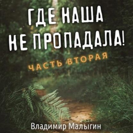 Где наша не пропадала. Часть вторая