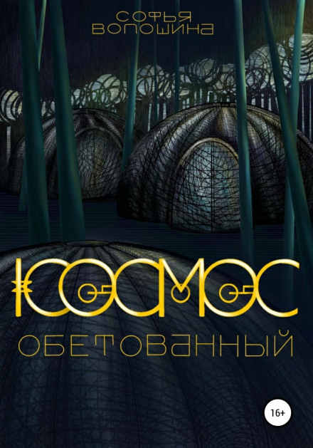 Космос обетованный